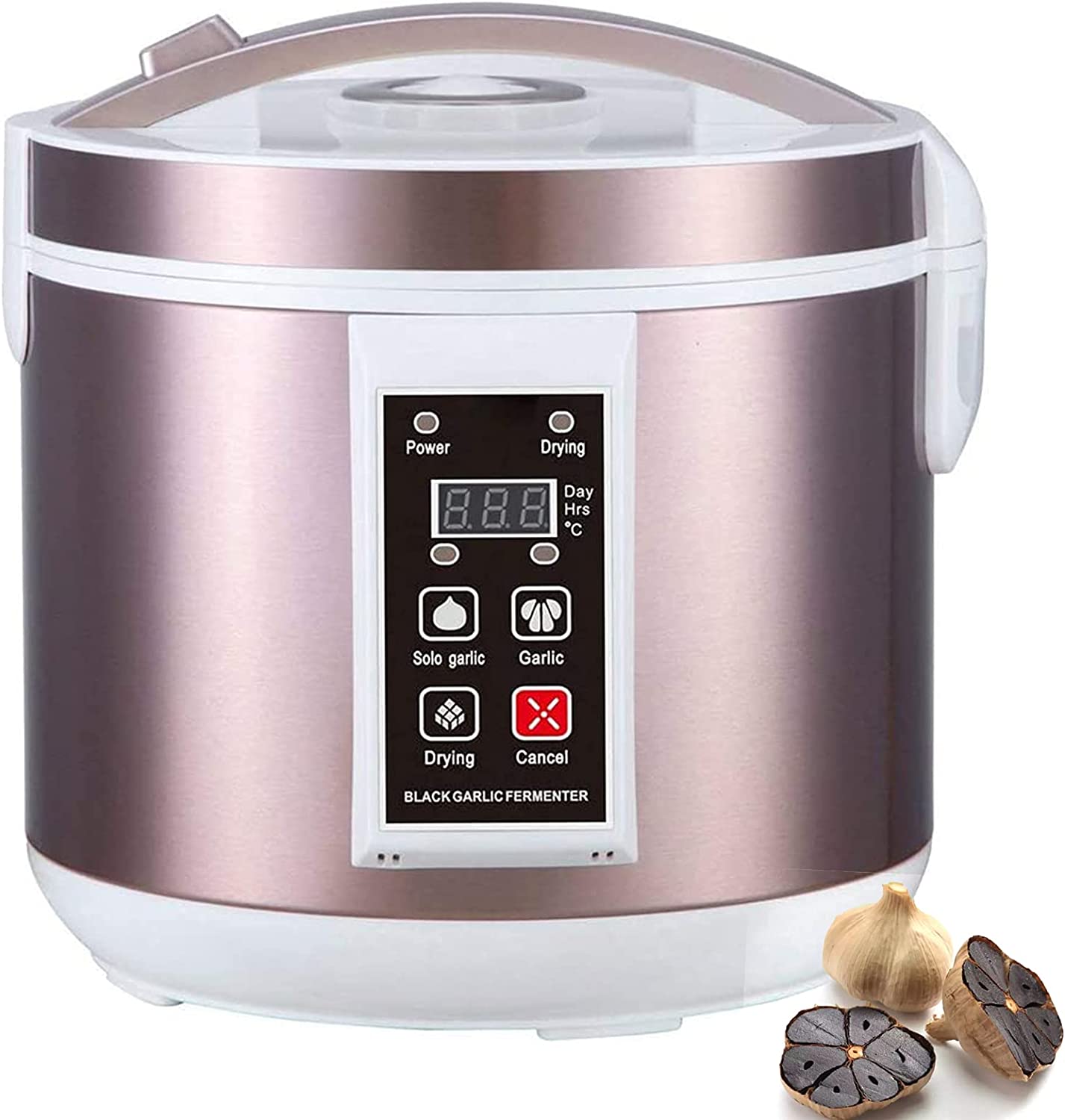 5L Zwarte Knoflook Vergister V - Diy Electronics Starter Kit recensie en prijs